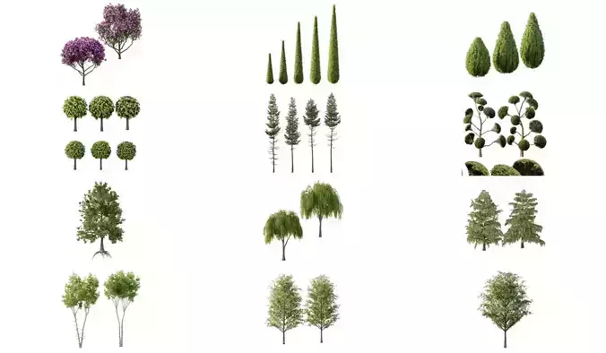 Excellent collection of Outdoor plants 32 Different Models 0036