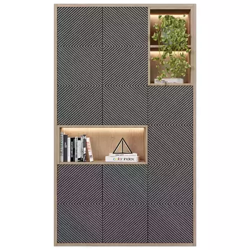 Cabinet with shelves 55