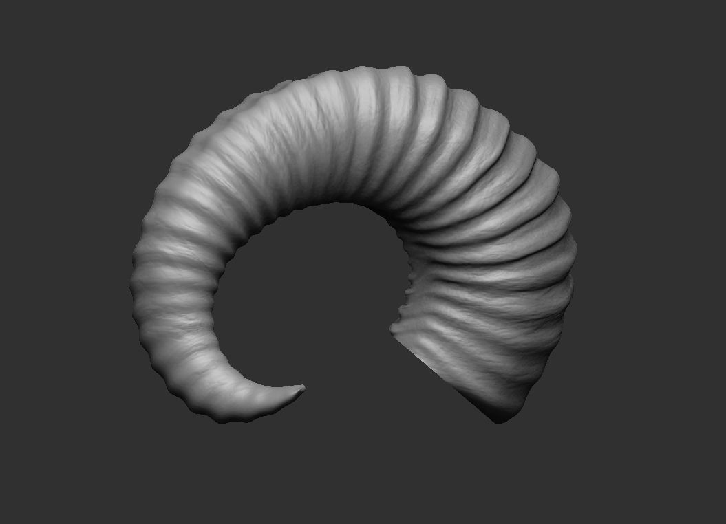 Horns printable 3D print model_3