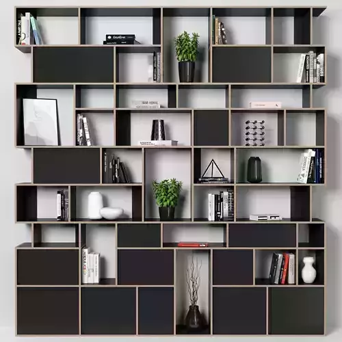 Rack and Bookcase 57