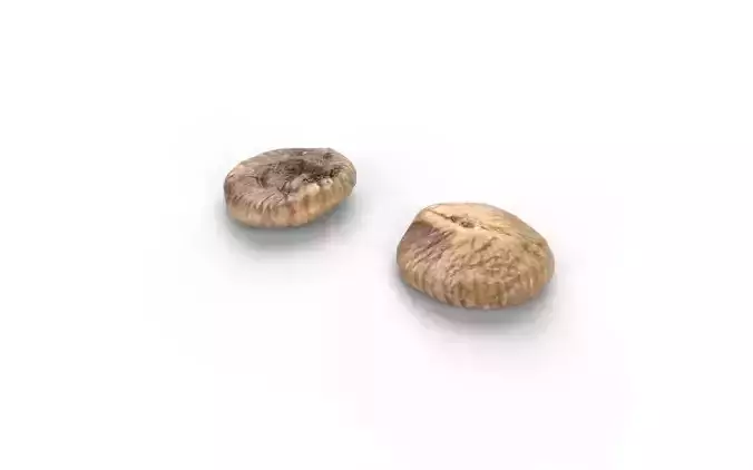 Fig M03 Low-poly 3D model 4