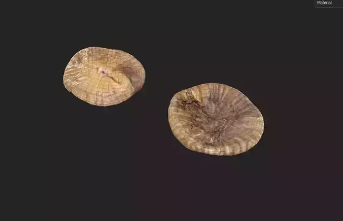 Fig M03 Low-poly 3D model 7