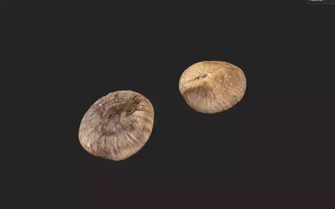 Fig M03 Low-poly 3D model 2