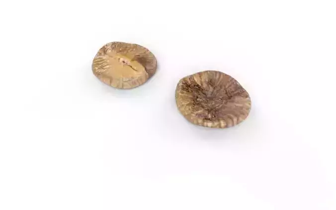 Fig M03 Low-poly 3D model 6