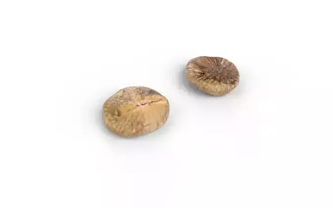 Fig M03 Low-poly 3D model 5