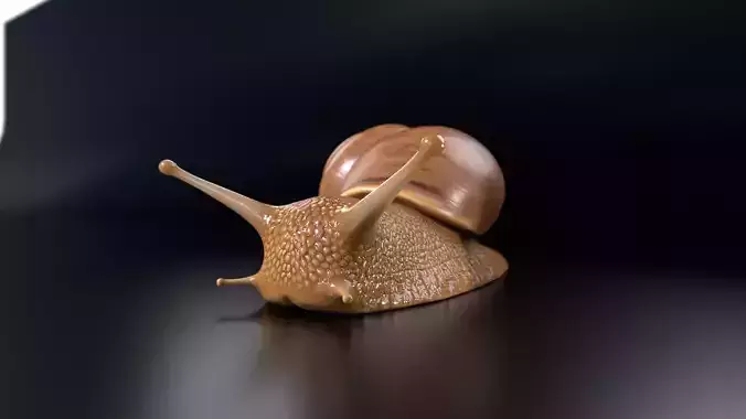 Snail PBR GameReady Model