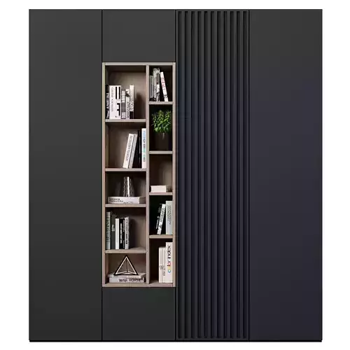 Cabinet with shelves 61