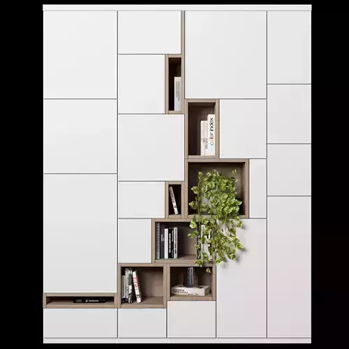 Cabinet with shelves 62