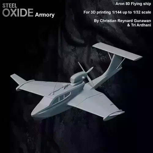 Seaplane Aron M80 Flying ship