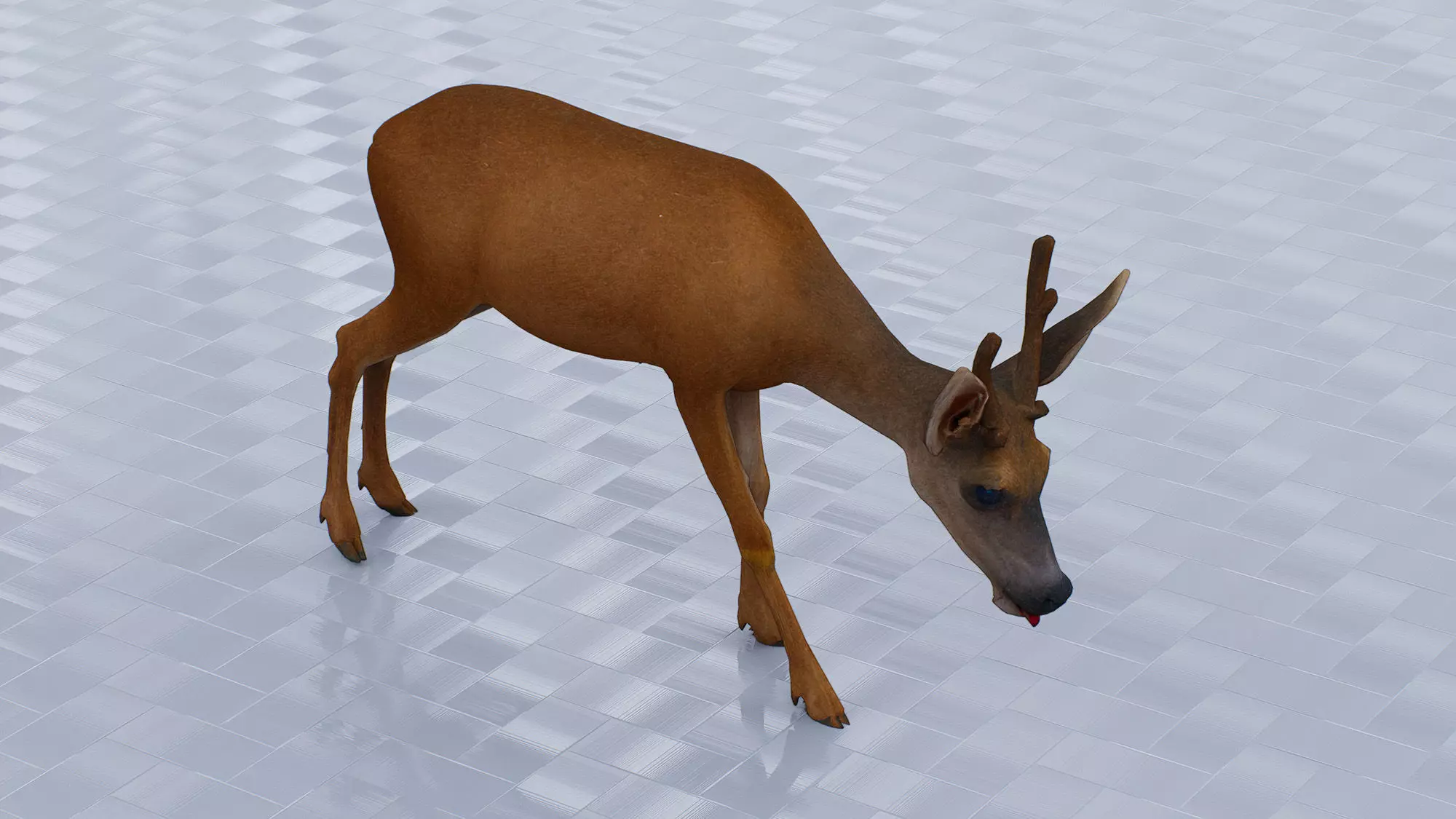Little deer Low-poly 3D model