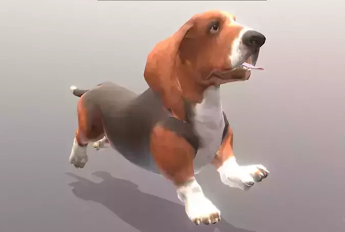HOUND Dog SWINGY RUN Fbx Pbr Animated