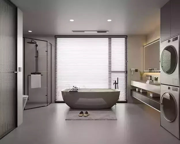 Bathroom 017