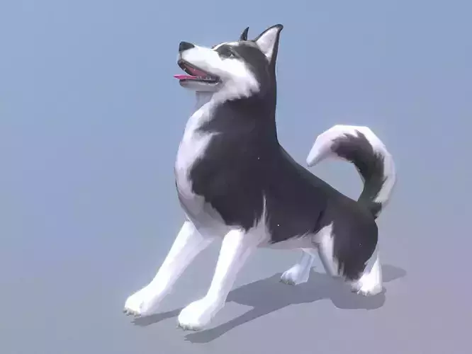 HUSKY DOG CHEERFUL CHILLING IDLE Fbx Pbr Animated