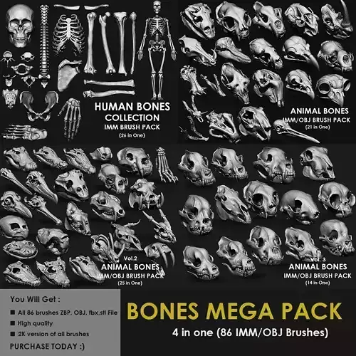 BANGLES MEGA PACK 4 IN ONE  62 BRUSHES