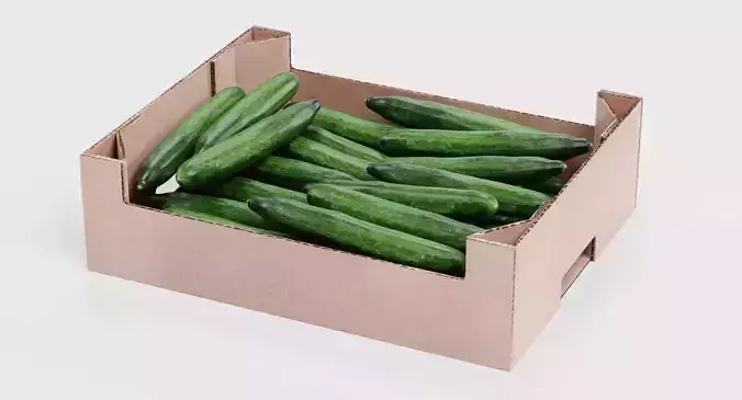 Cucumbers in Box - Filled Cardboard Produce Crate 3D model 5