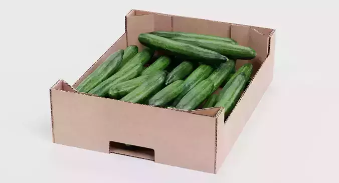 Cucumbers in Box - Filled Cardboard Produce Crate 3D model 4