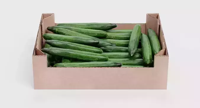 Cucumbers in Box - Filled Cardboard Produce Crate 3D model 2