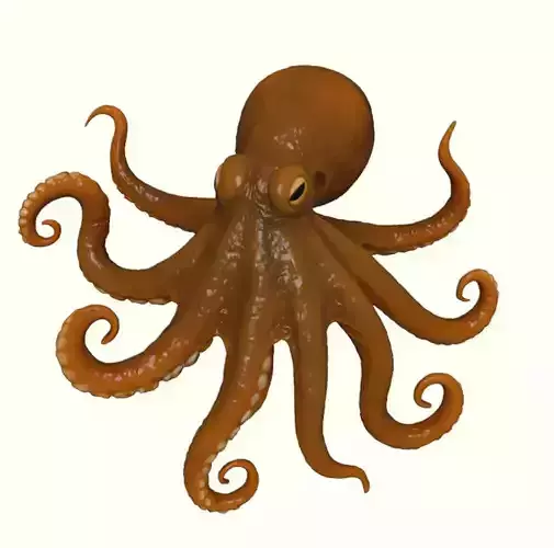 Curious Reef Octopus