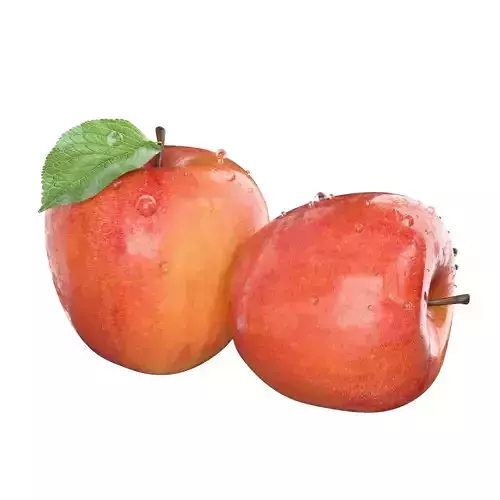 Apple fruit 