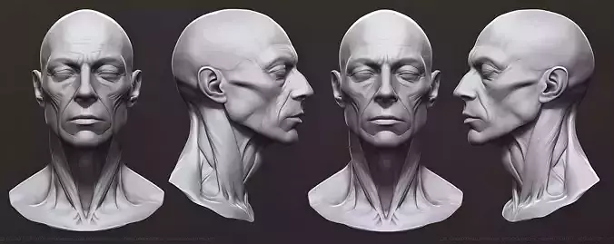 Original man facial head sculpture details character design