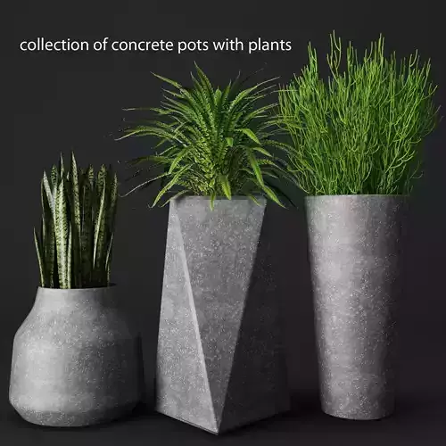 Potted plants 3D model