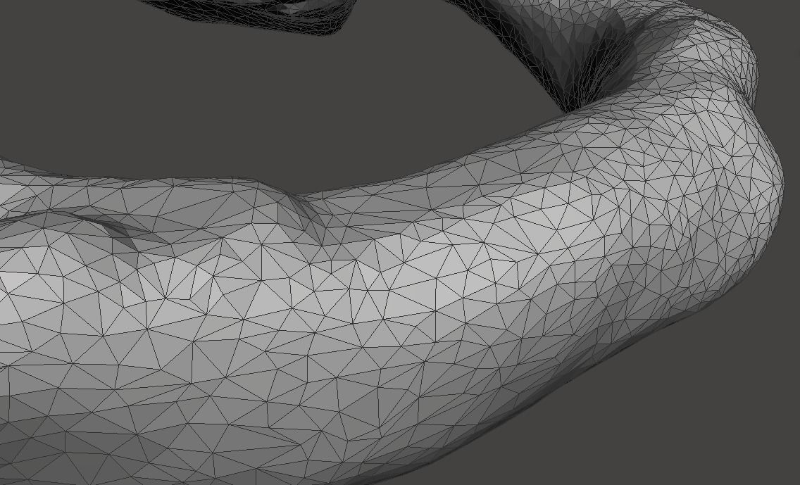 1st Cervical Vertebra - female 3D model_15