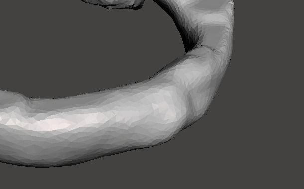 1st Cervical Vertebra - female 3D model_13