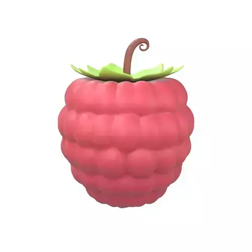 Raspberry v1 001