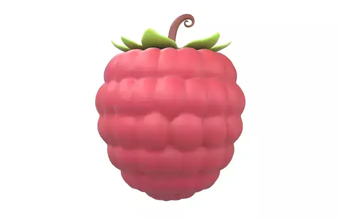 Raspberry v1 001 Low-poly 3D model 3