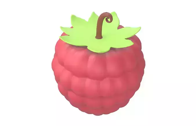 Raspberry v1 001 Low-poly 3D model 4