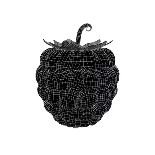Raspberry v1 002 Low-poly 3D model 5