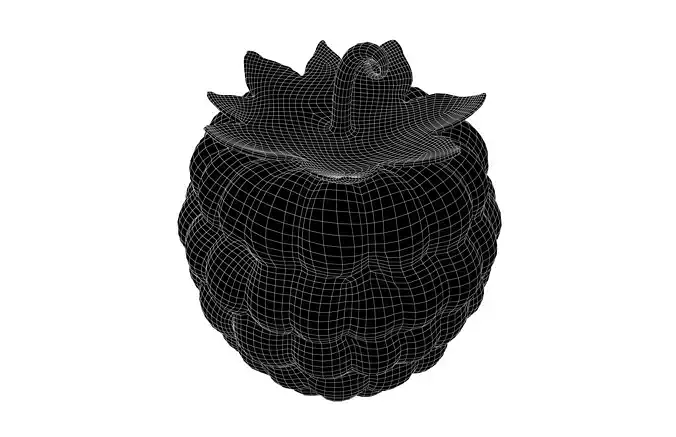 Raspberry v1 002 Low-poly 3D model 7