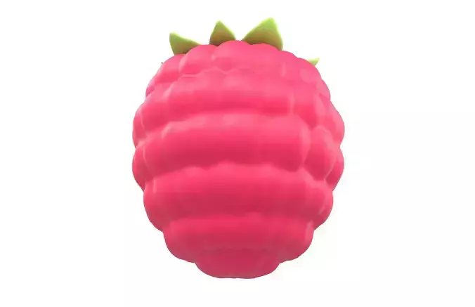 Raspberry v1 002 Low-poly 3D model 3
