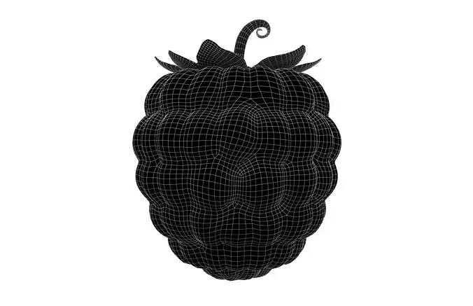 Raspberry v1 002 Low-poly 3D model 6