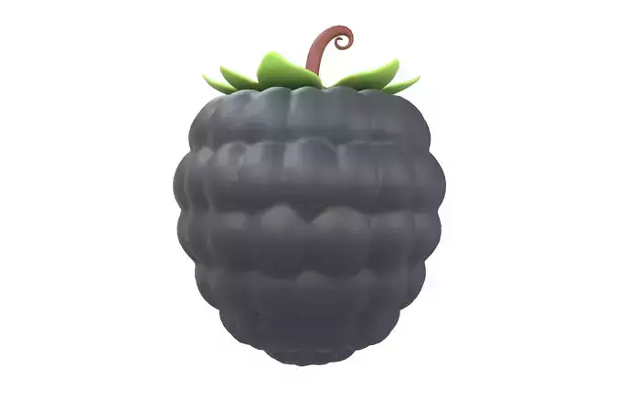 Raspberry v1 004 Low-poly 3D model 2
