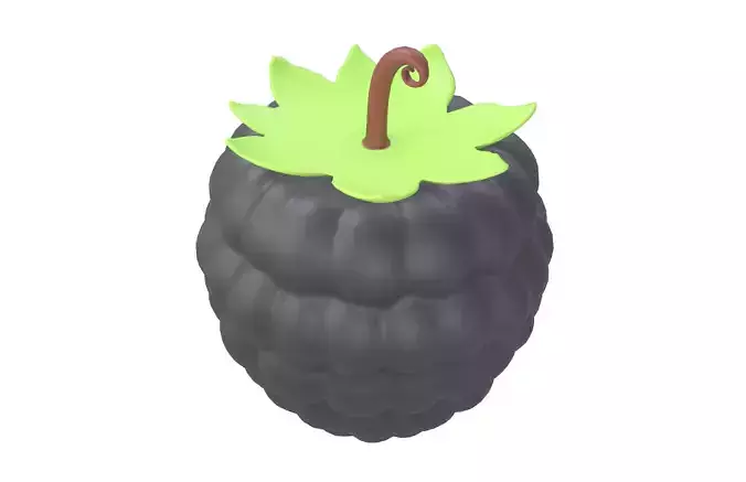 Raspberry v1 004 Low-poly 3D model 3