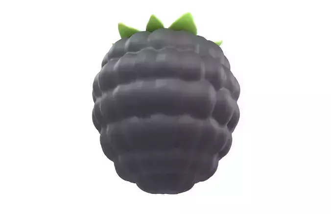 Raspberry v1 004 Low-poly 3D model 4