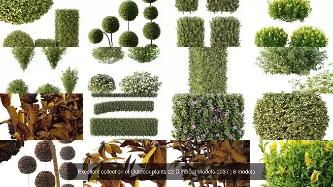 Excellent collection of Outdoor plants 22 Different Models 0037
