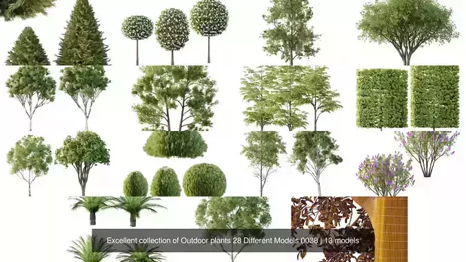 Excellent collection of Outdoor plants 28 Different Models 0038