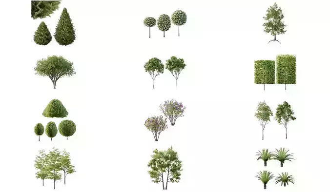 Excellent collection of Outdoor plants 28 Different Models 0038