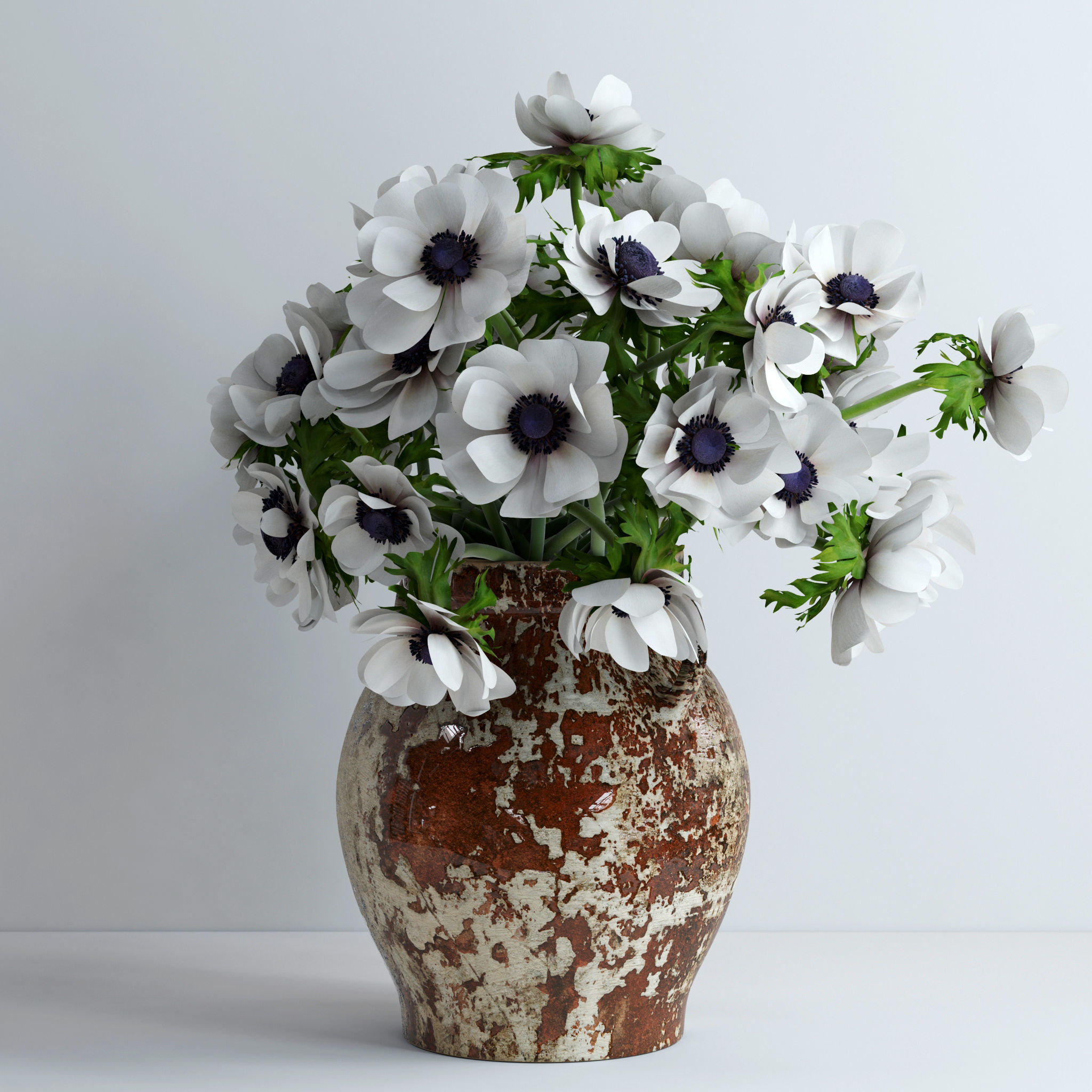 Anemones white 3D model_5