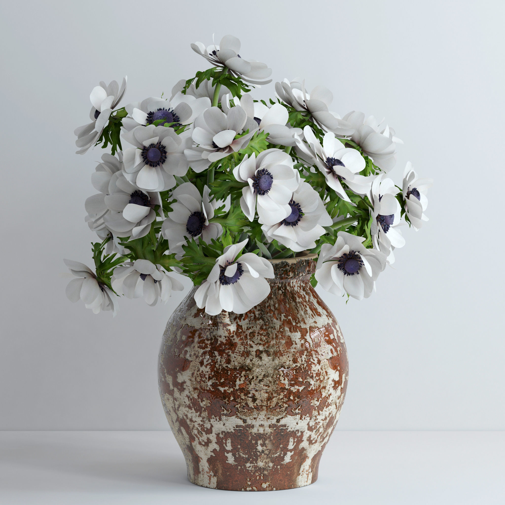 Anemones white 3D model_4