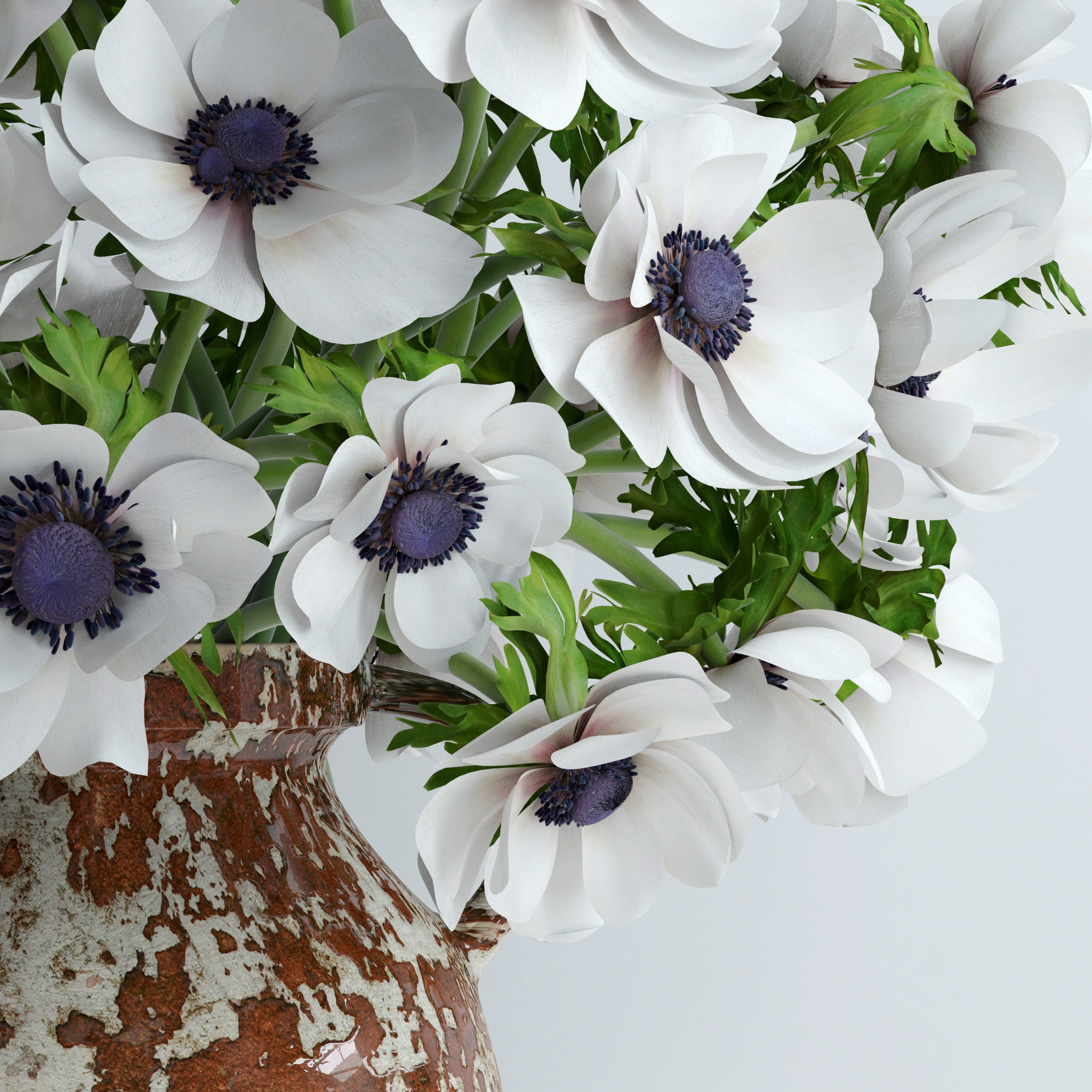 Anemones white 3D model_6