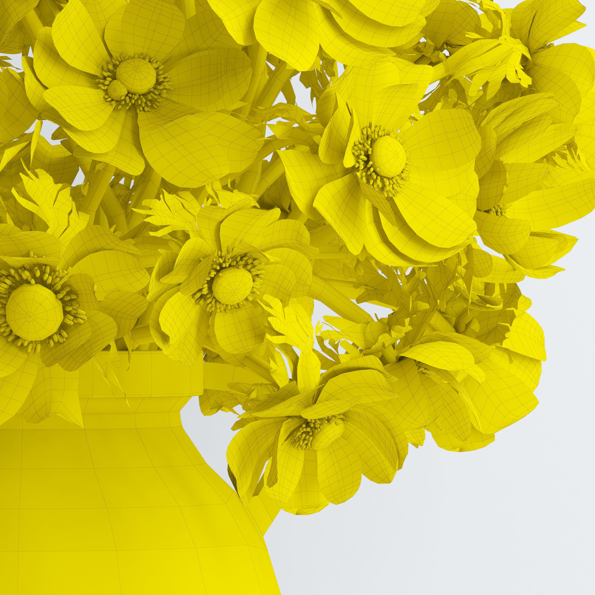 Anemones white 3D model_9