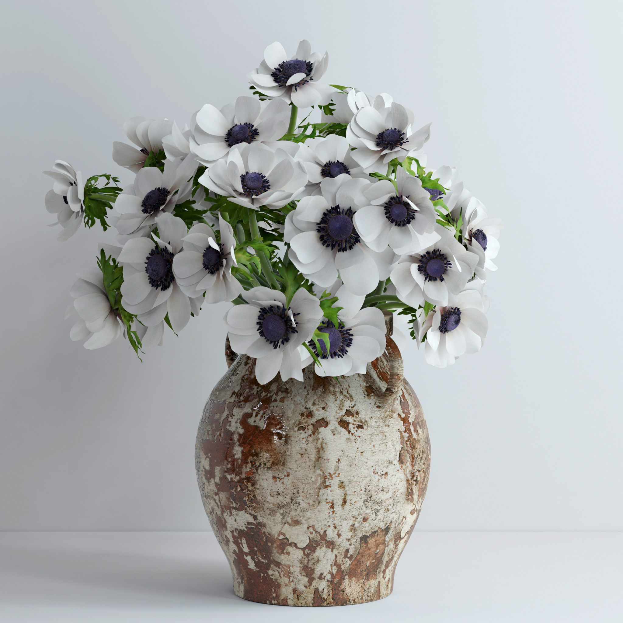 Anemones white 3D model_2