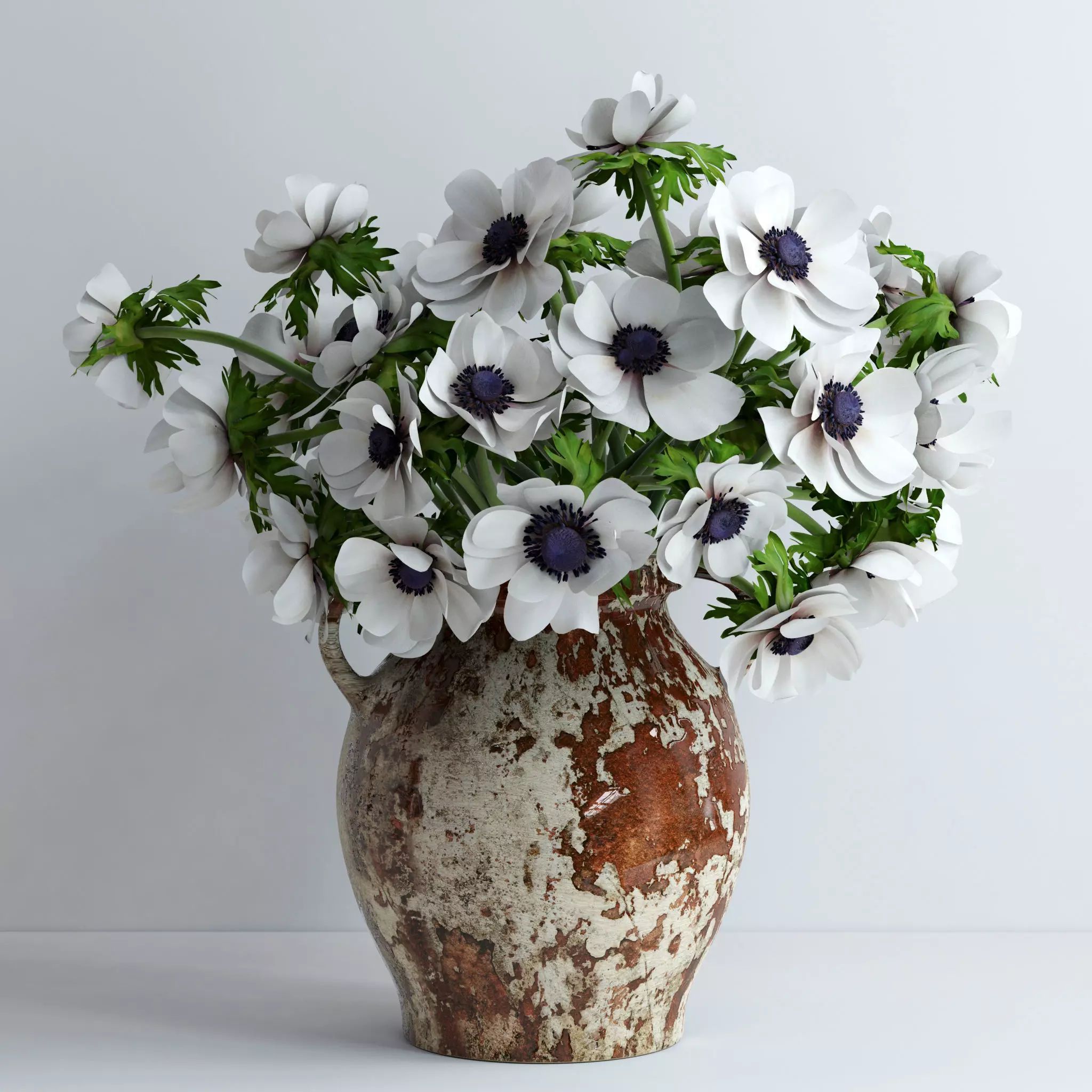 Anemones white 3D model_0