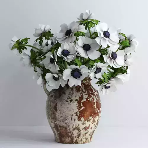 Anemones white 3D model