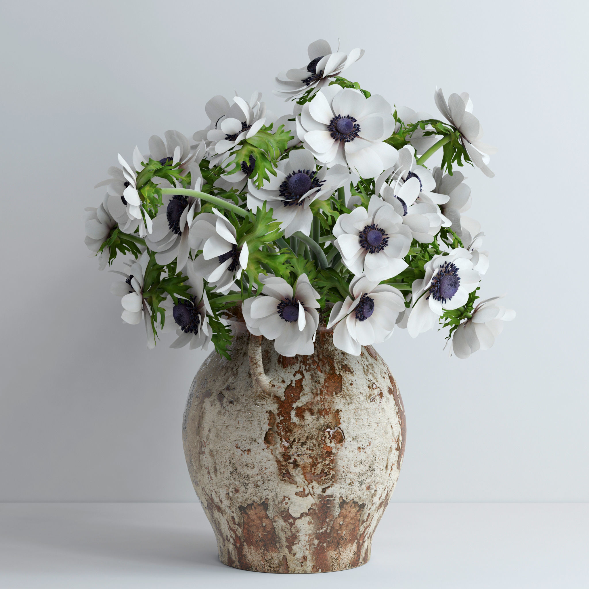 Anemones white 3D model_1
