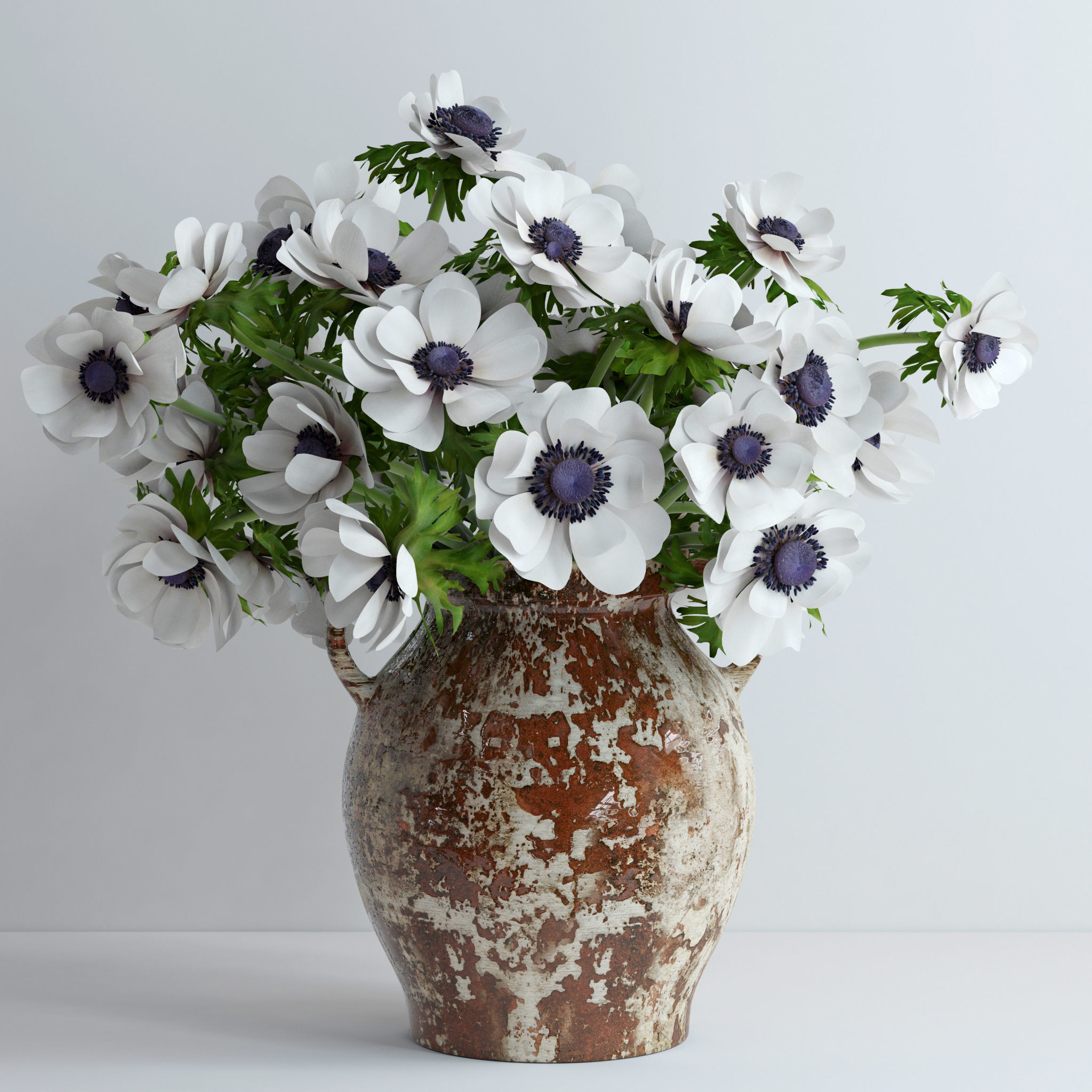 Anemones white 3D model_3