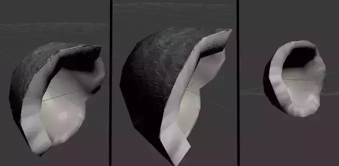 Coconut half without shell